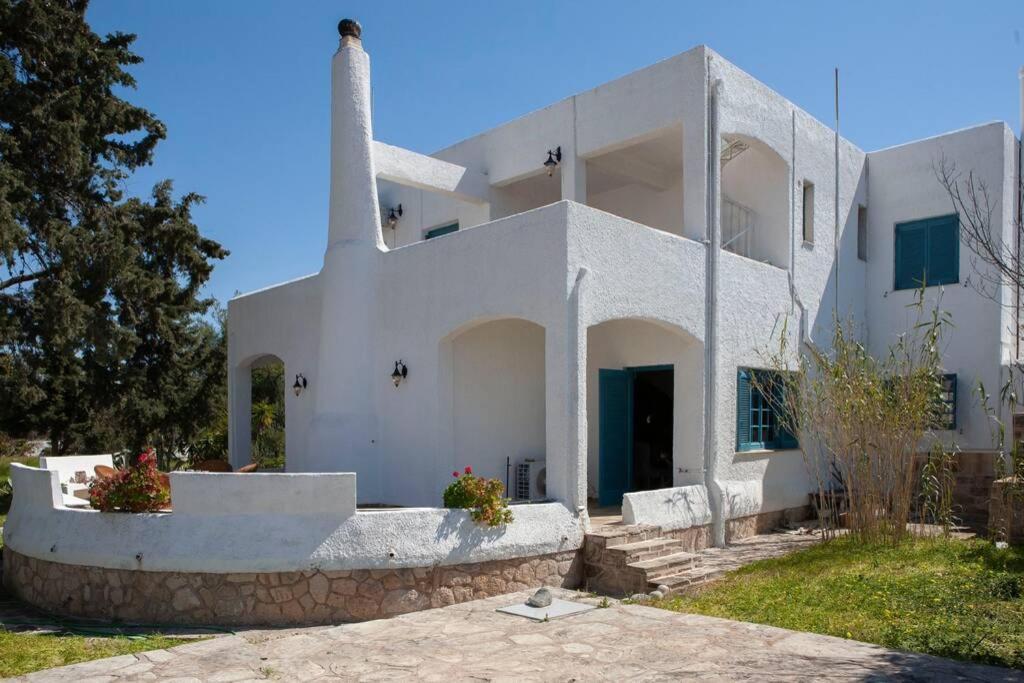 Villa Velissarios: Wonderful Villa Next To Beach Aegina Exteriér fotografie