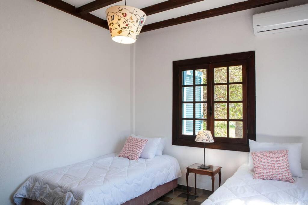 Villa Velissarios: Wonderful Villa Next To Beach Aegina Exteriér fotografie